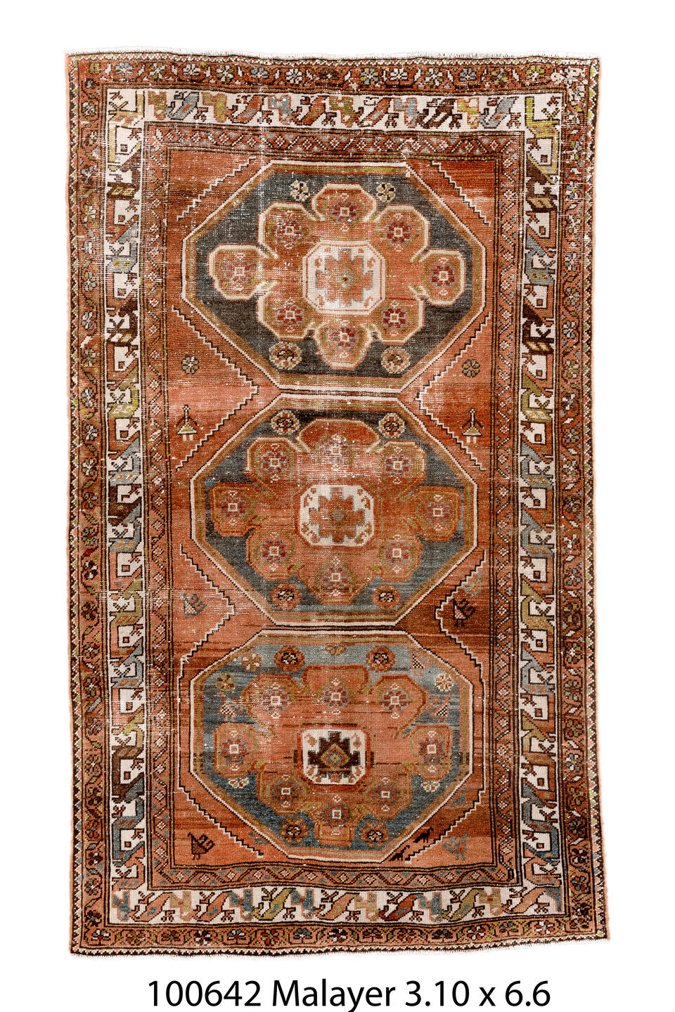 100642 Rug