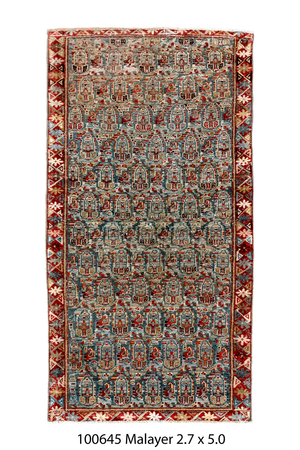 100645 Rug