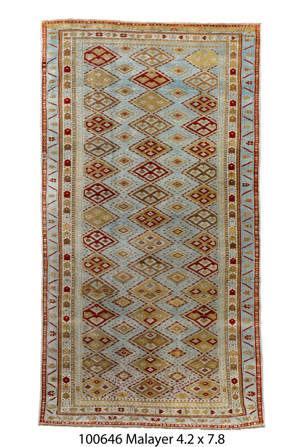 100646 Rug