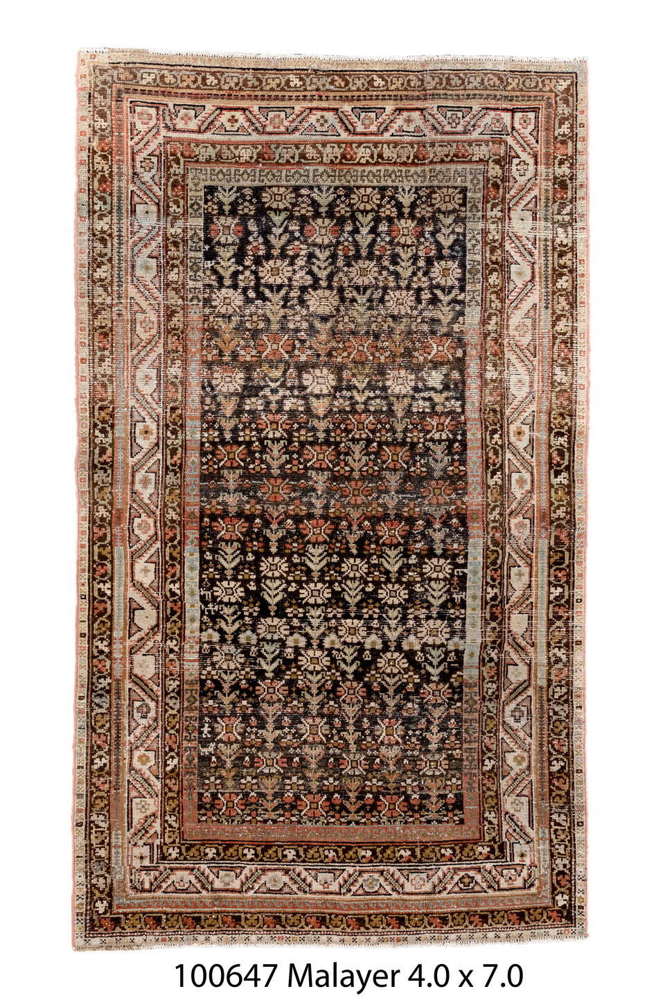 100647 Rug