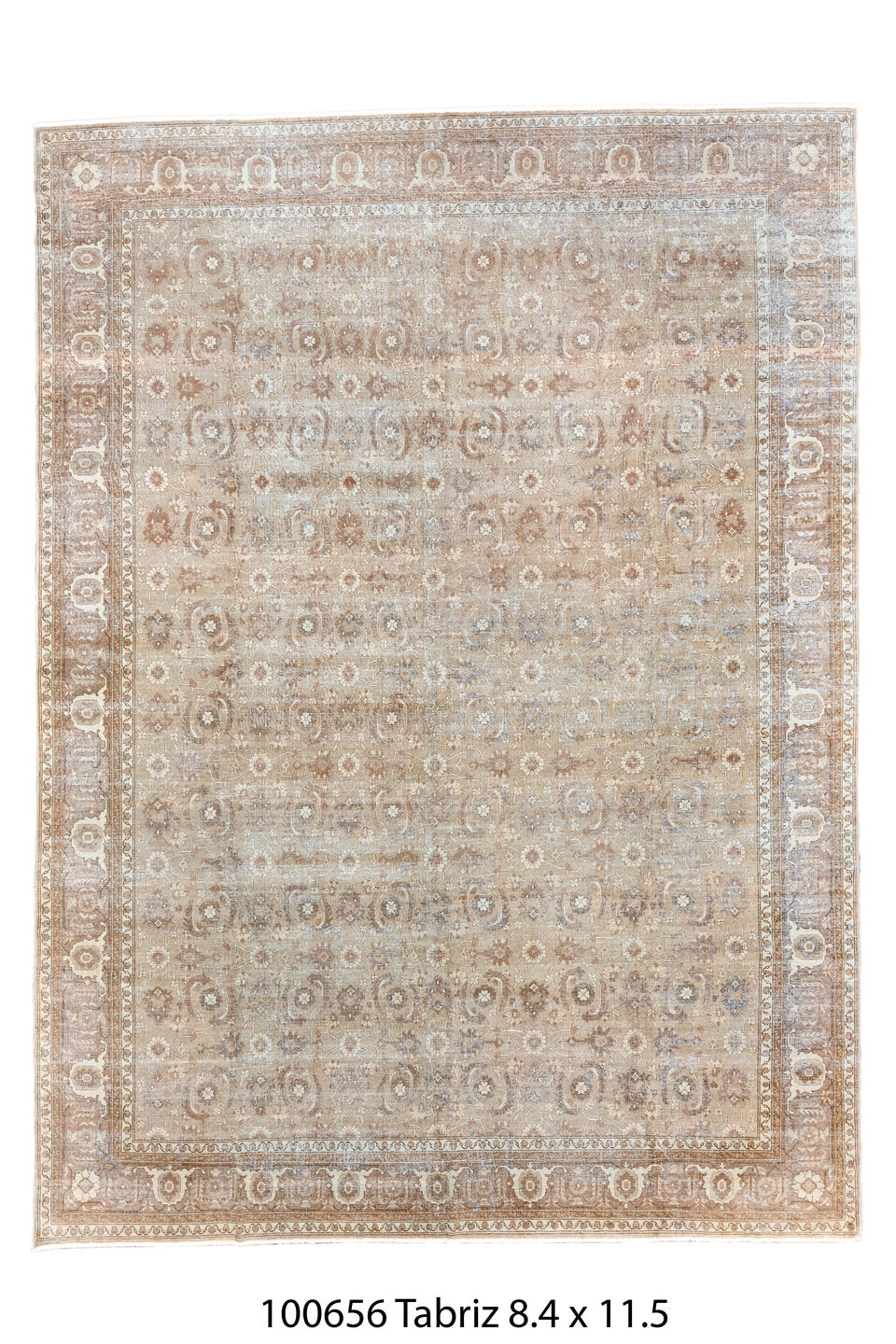 100656 Rug