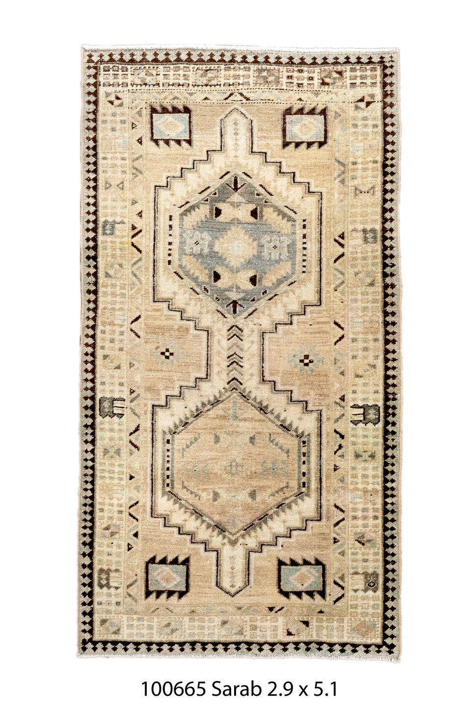 100665 Rug