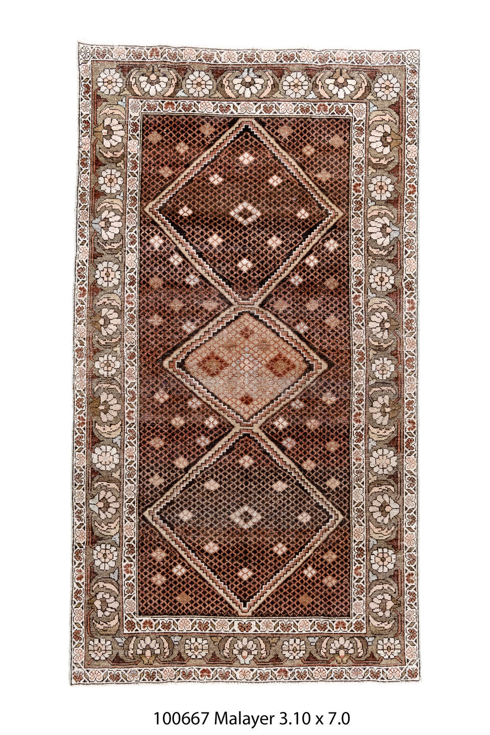 100667 Rug
