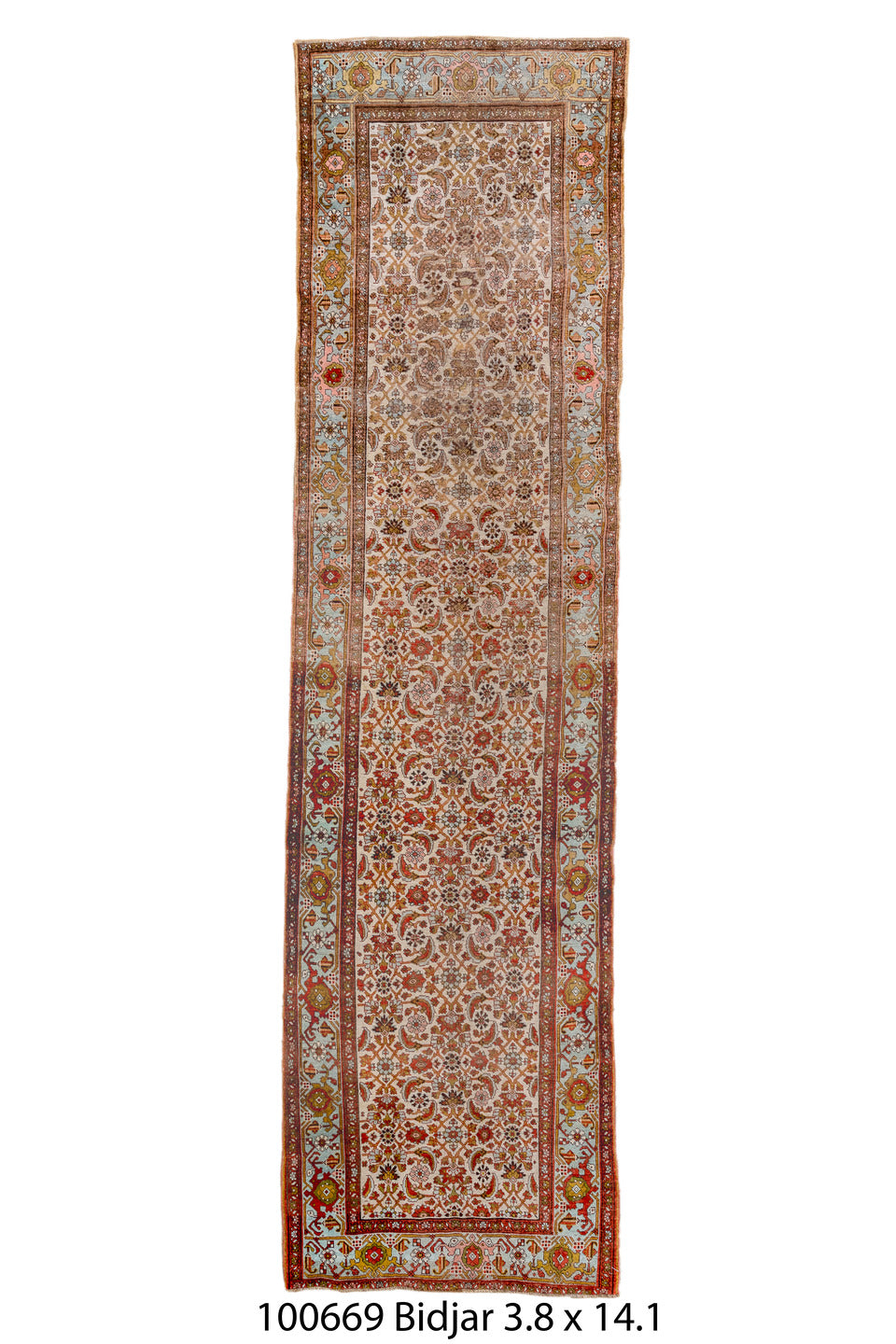 100669 Rug