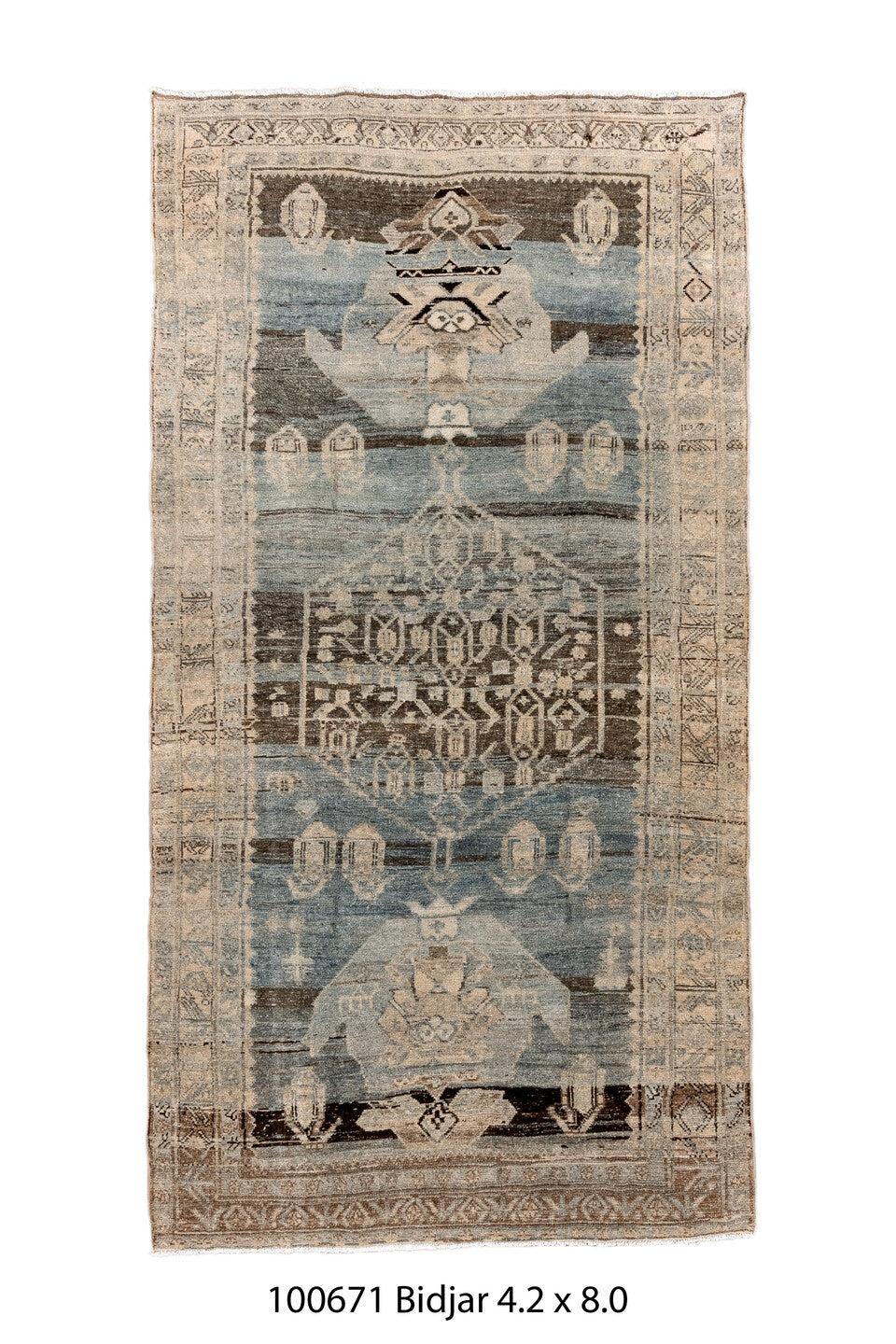 100671 Rug