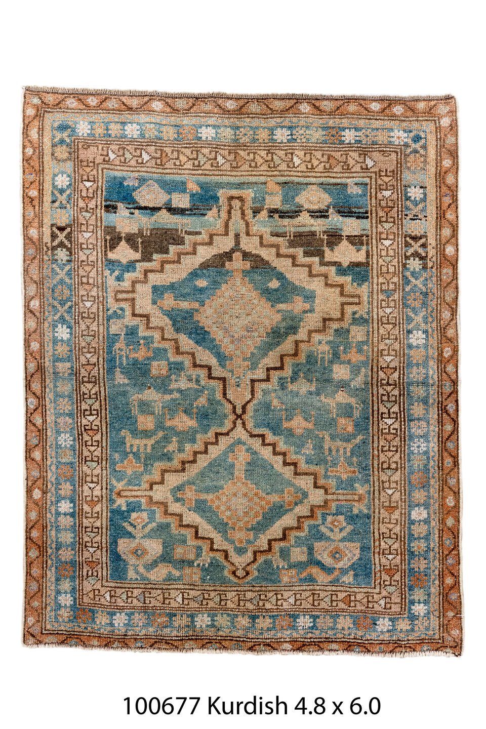 100677 Rug