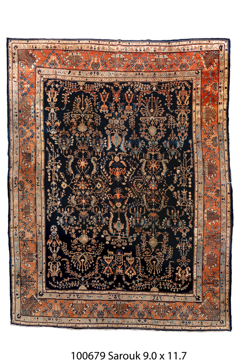 100679 Rug