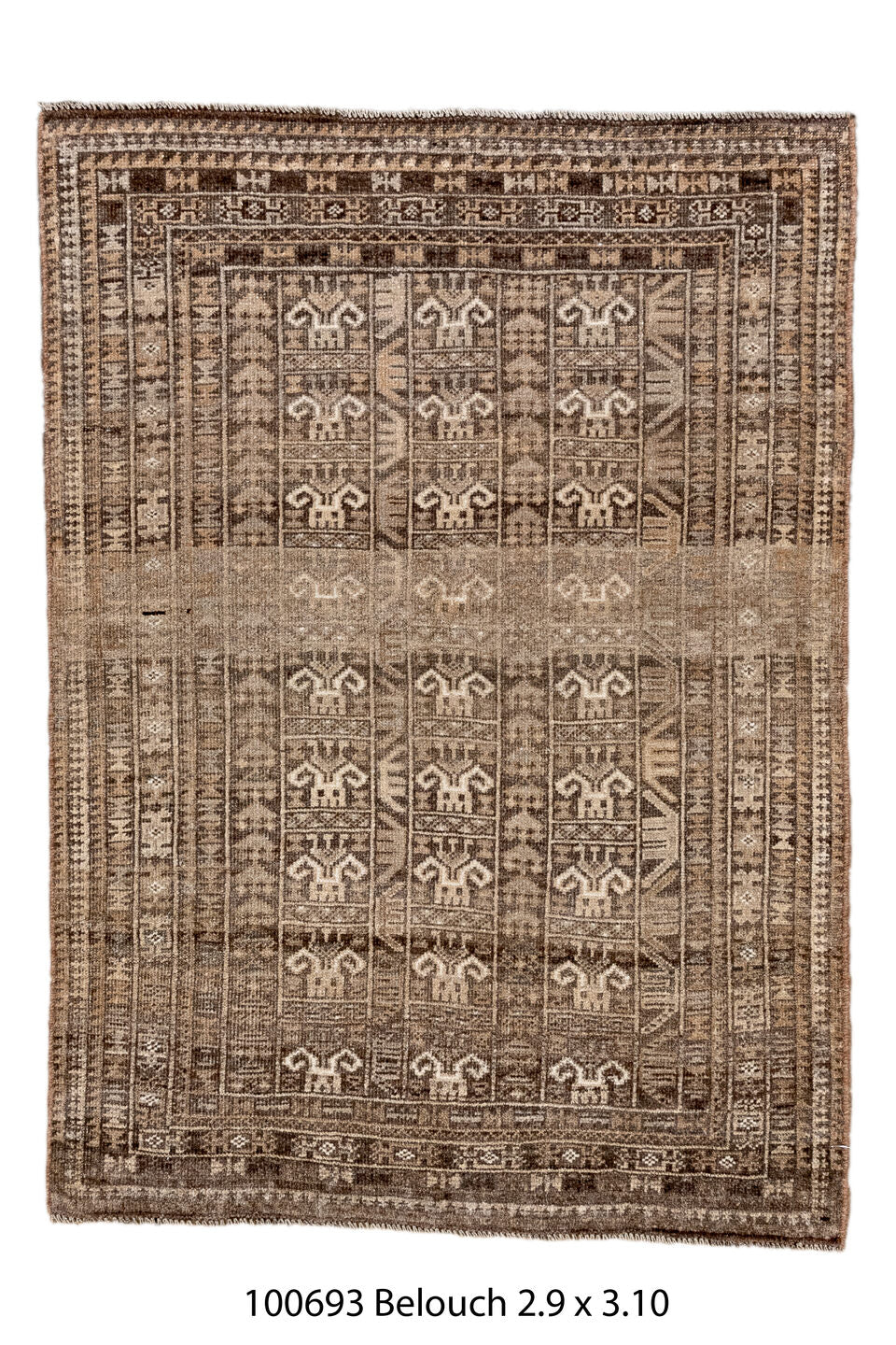 100693 Rug