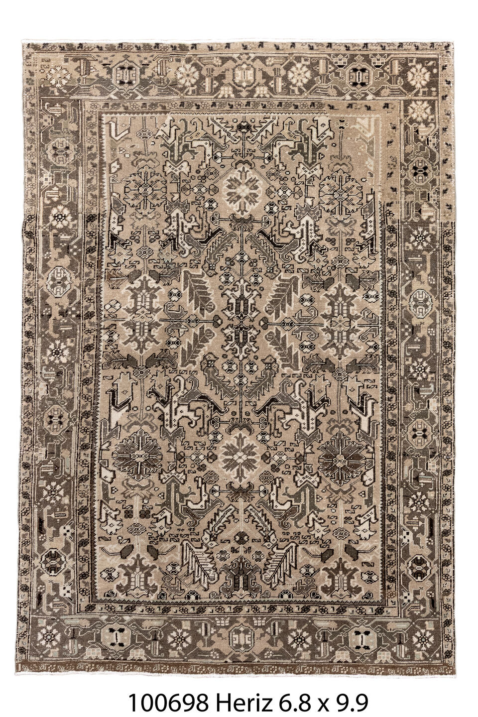 100698 Rug