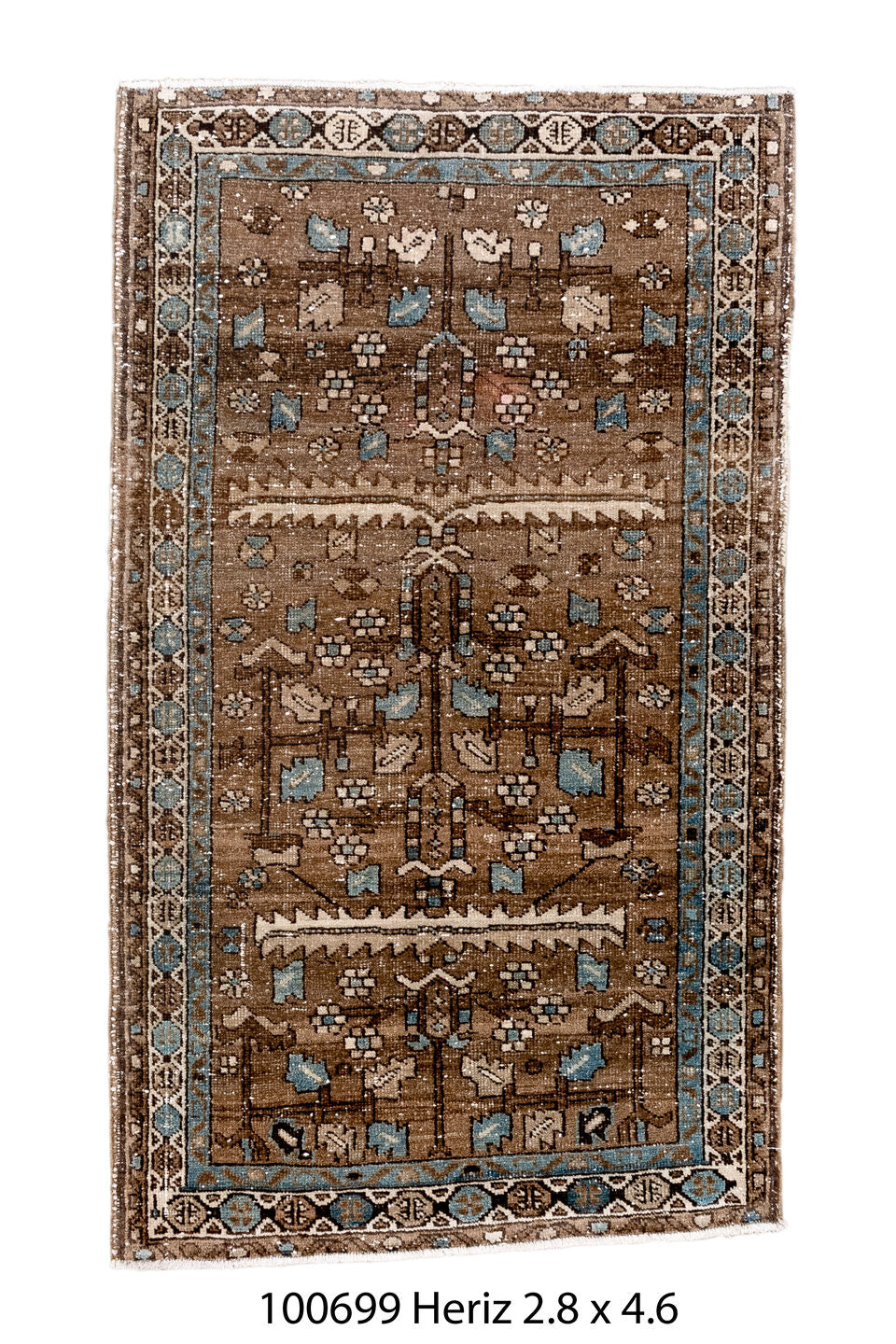 100699 Rug