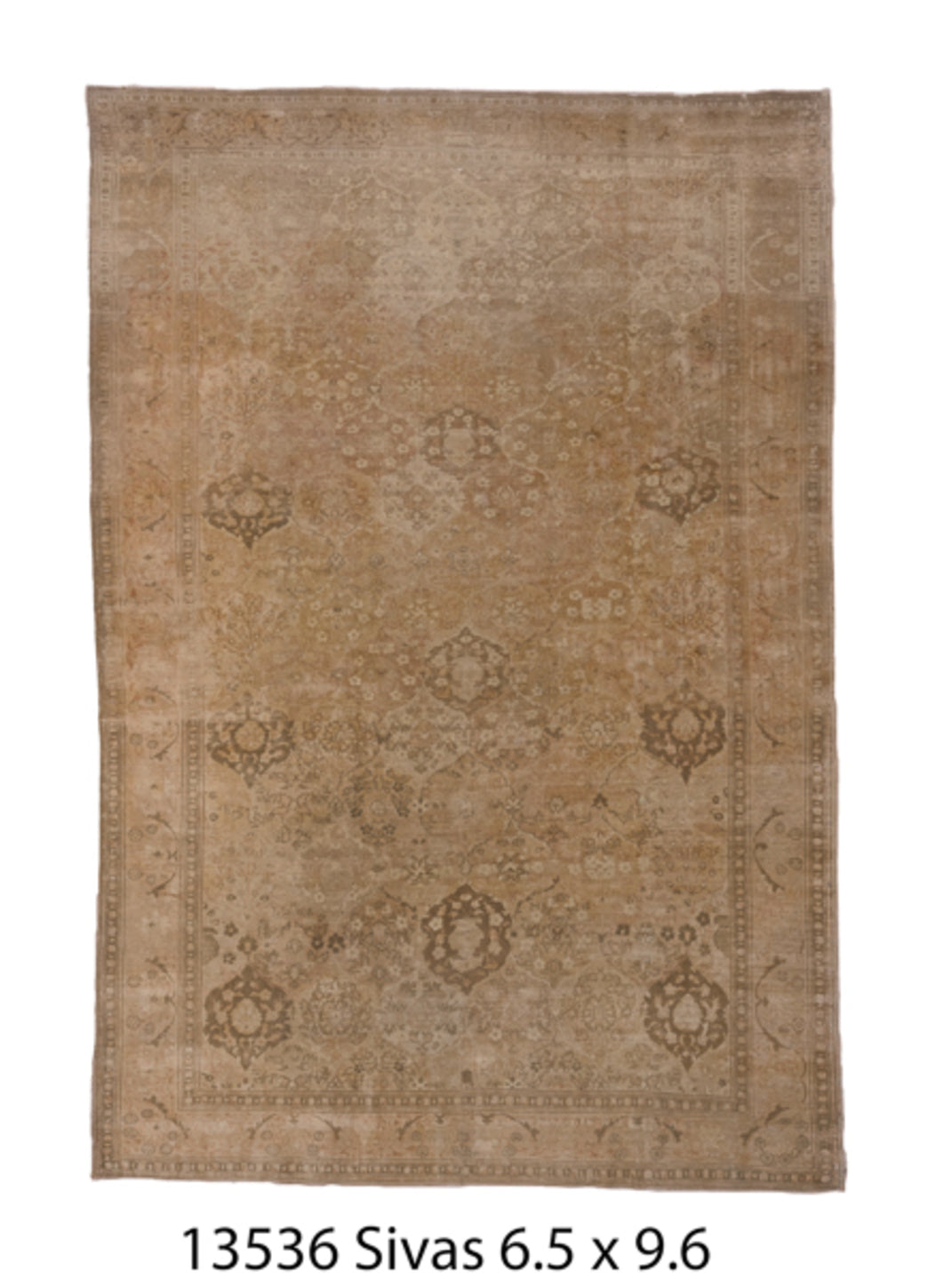 C13536 Rug