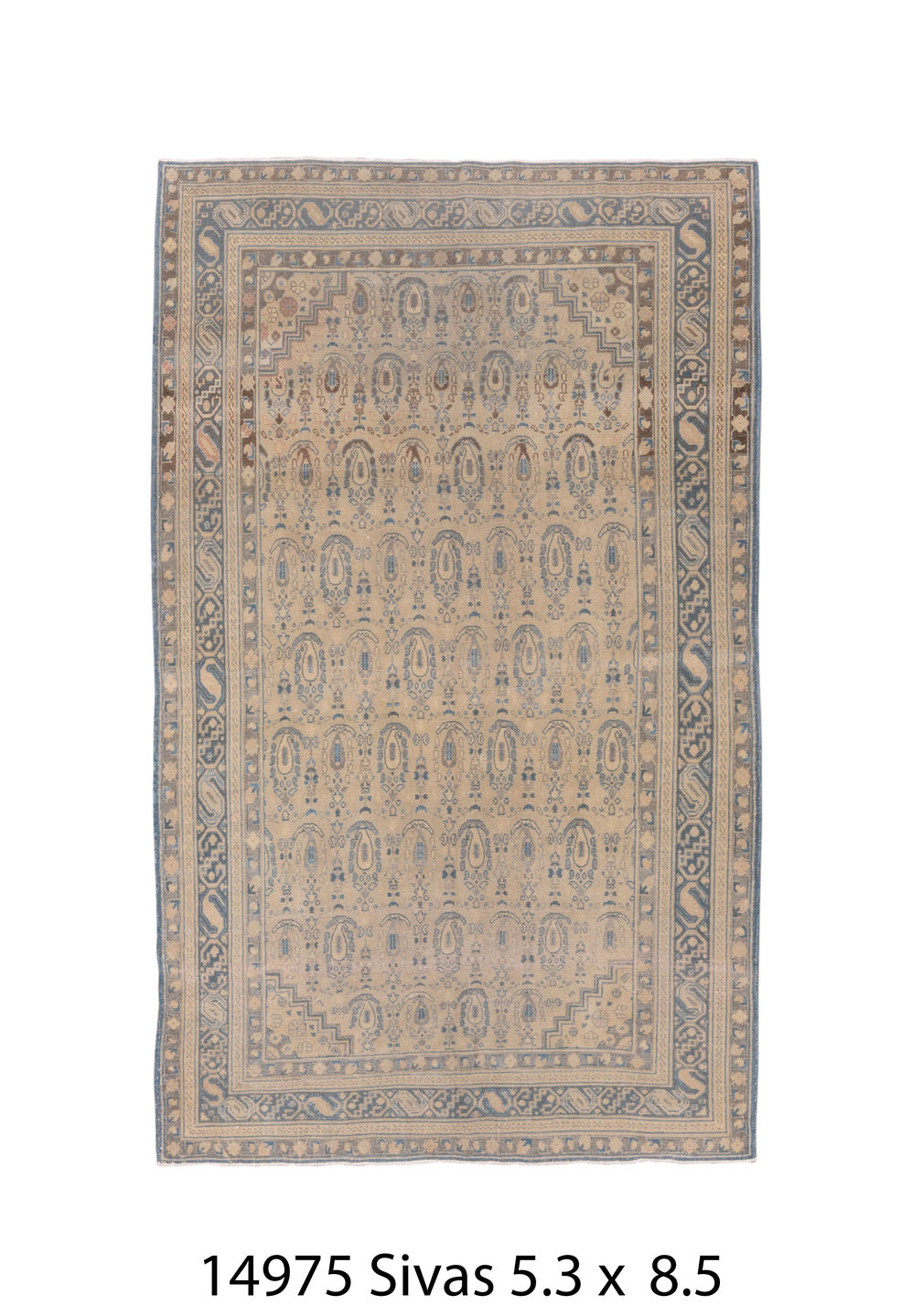 C14975 Rug