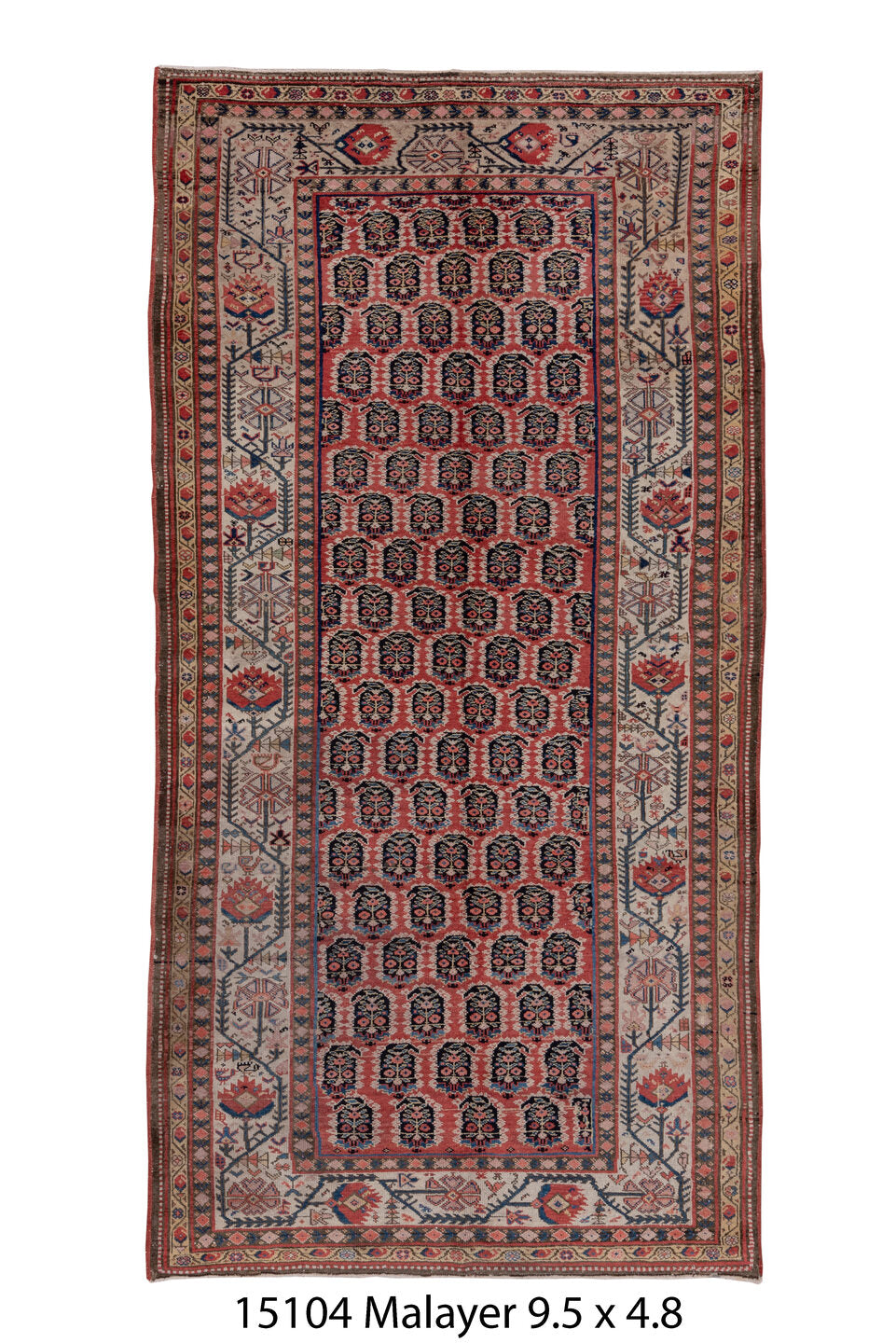 C15104 Rug