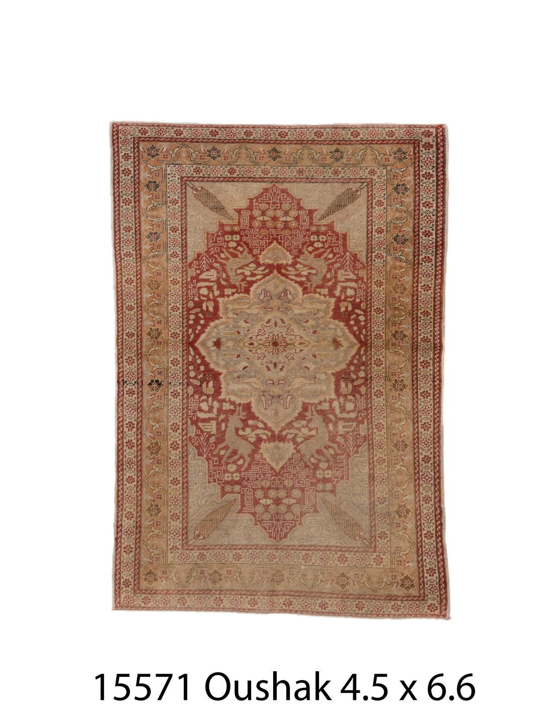 C15571 Rug