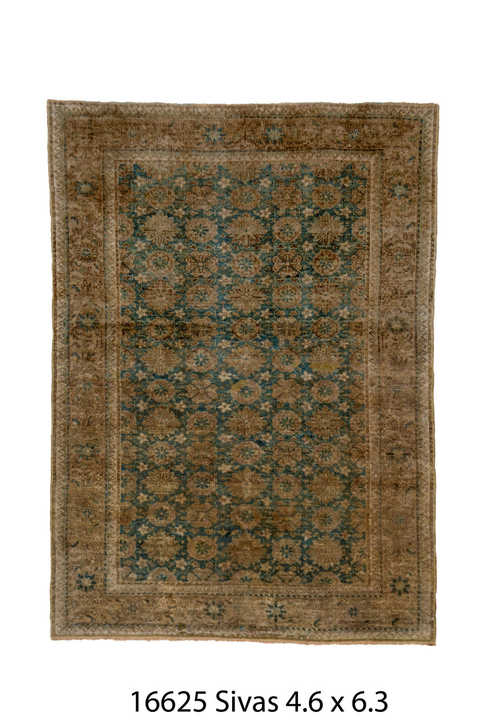 C16625 Rug