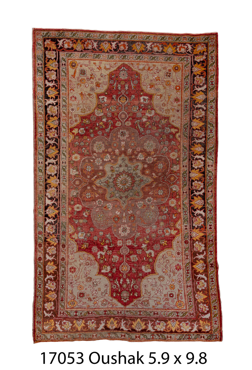 C17053 Rug