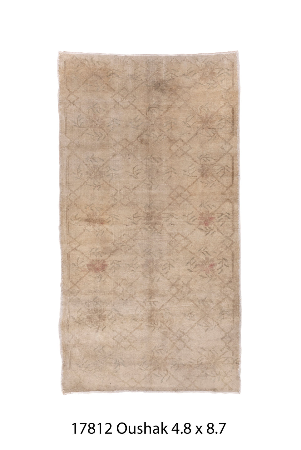 C17812 Rug