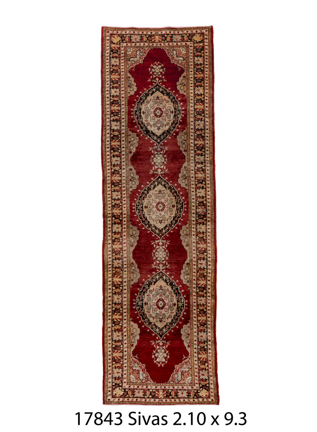 C17843 Rug