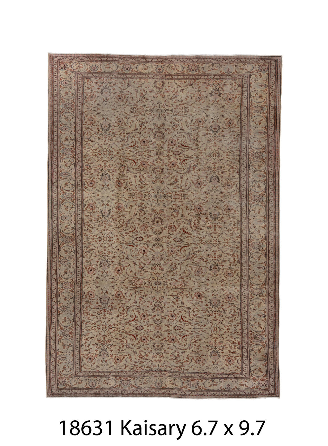 C18631 Rug