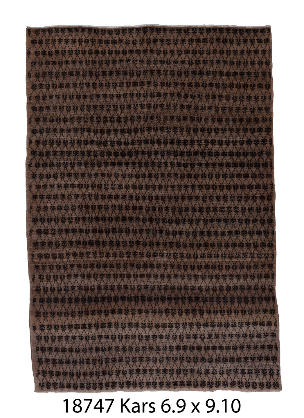 C18747 Rug