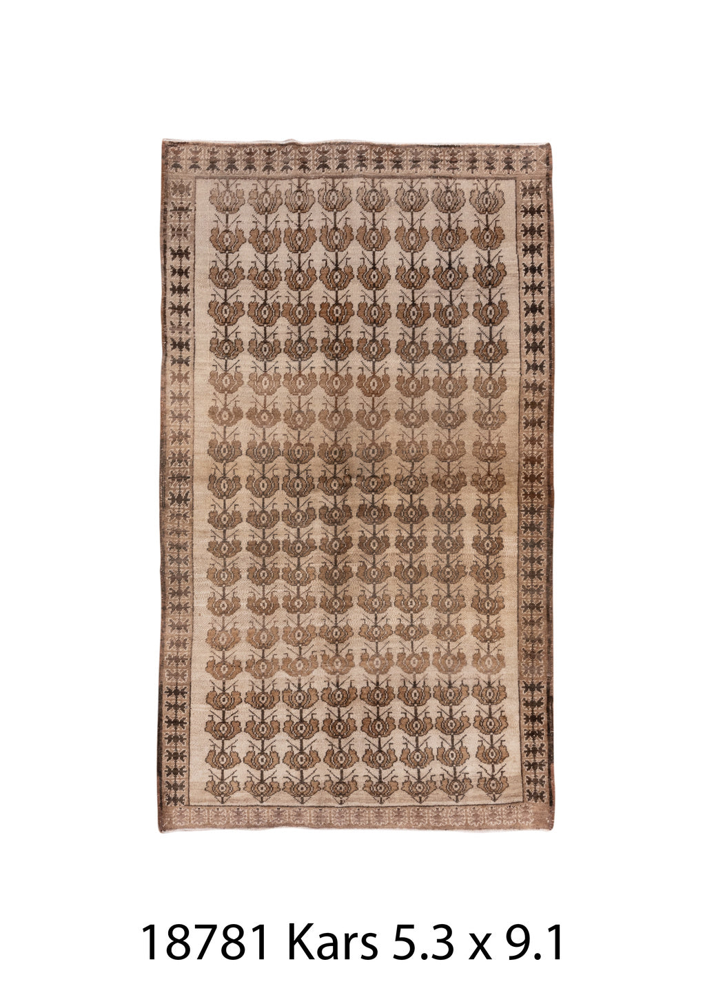 C18781 Rug