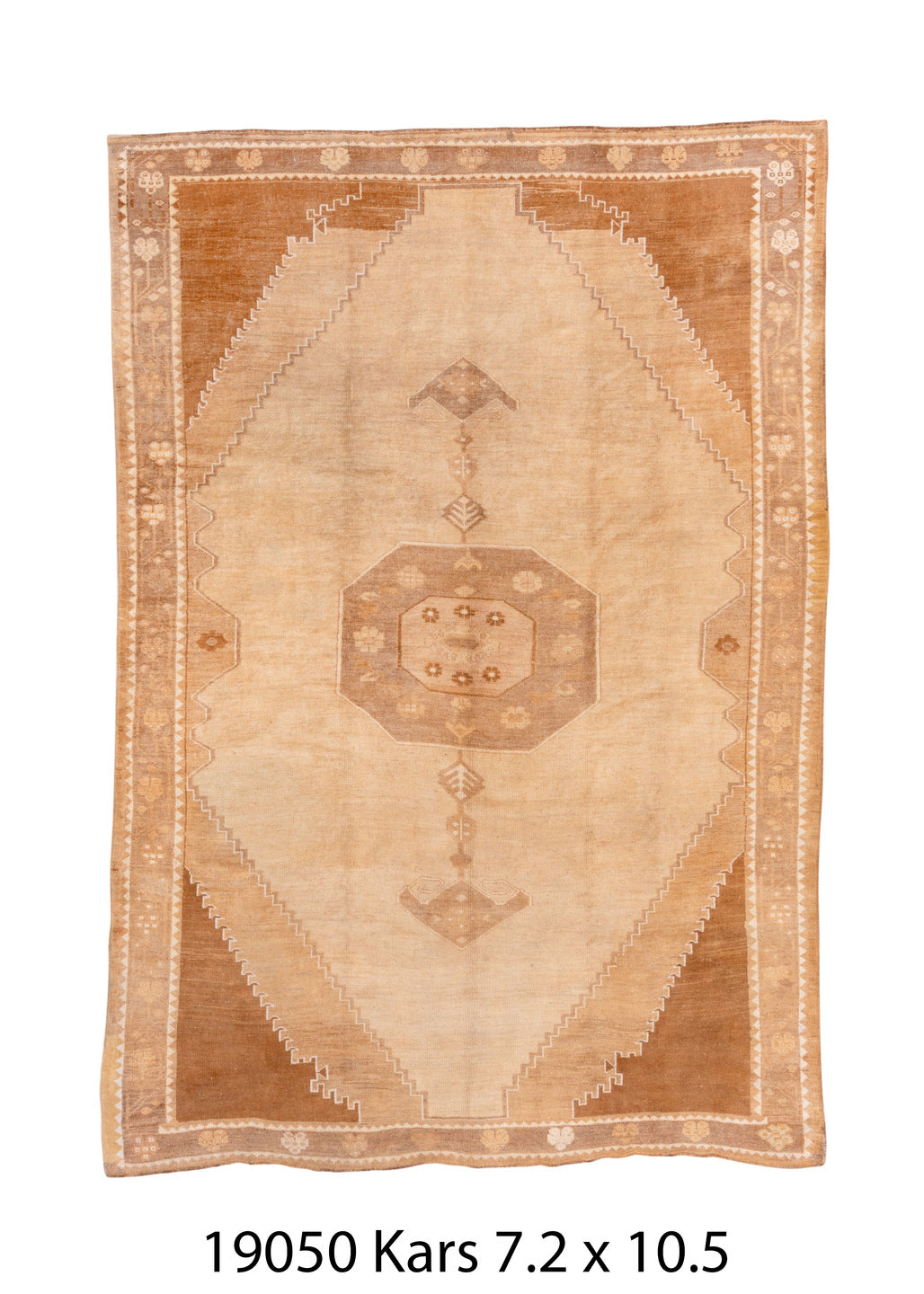 C19050 Rug