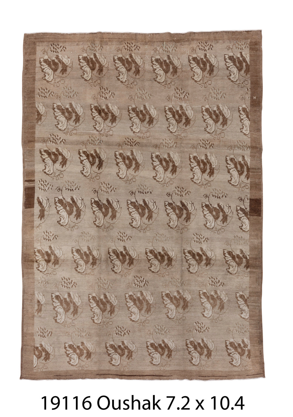 C19116 Rug