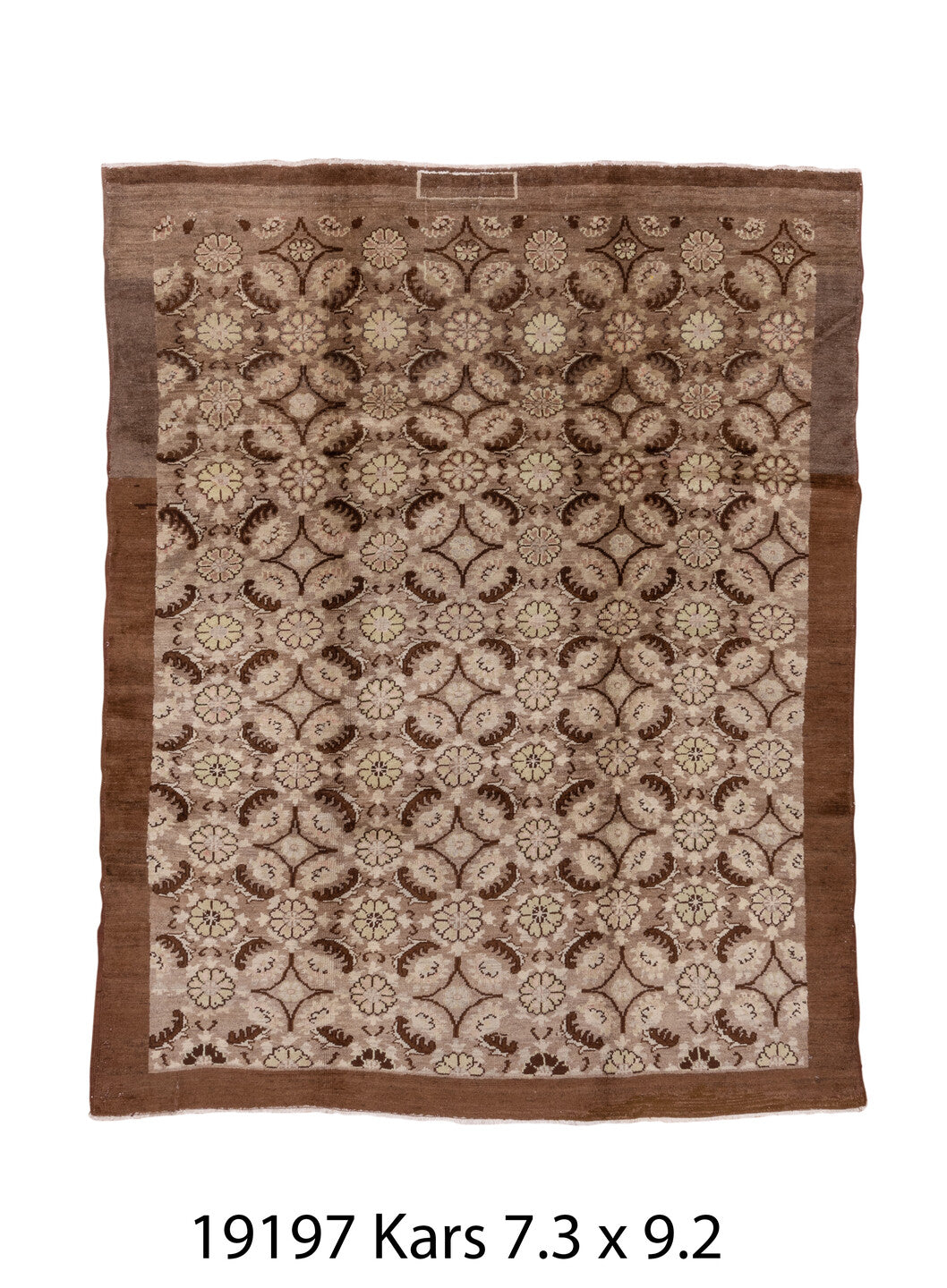 C19197 Rug