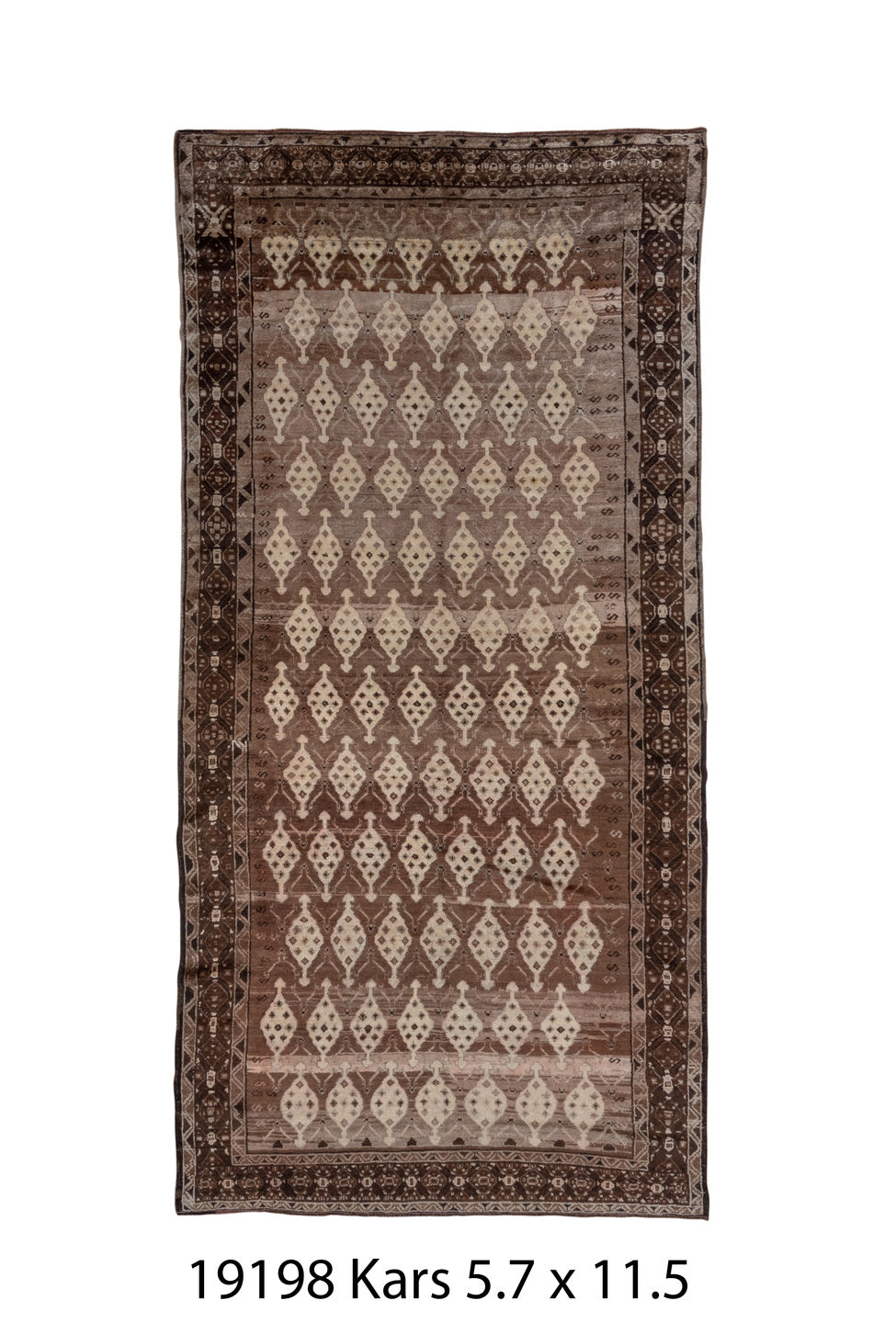 C19198 Rug