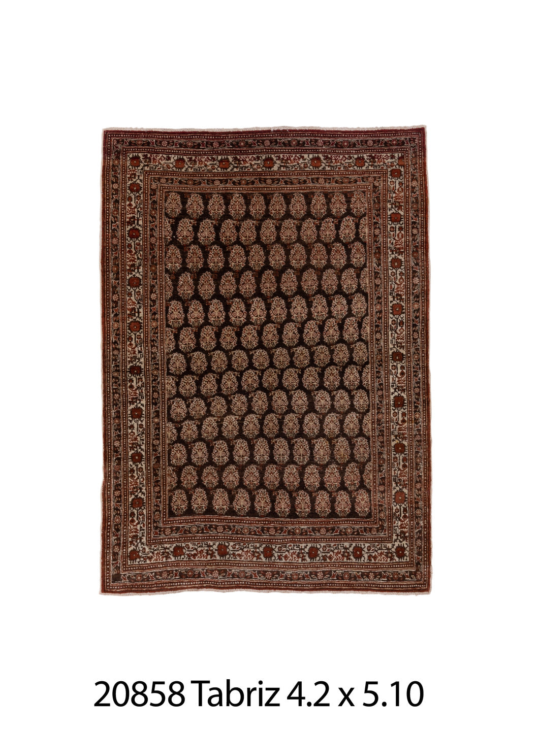 C20858 Rug