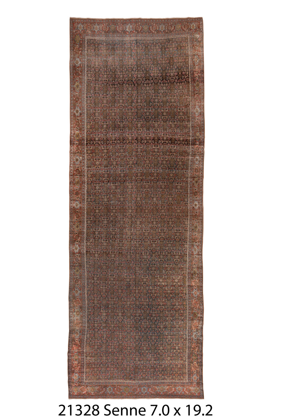 C21328 Rug