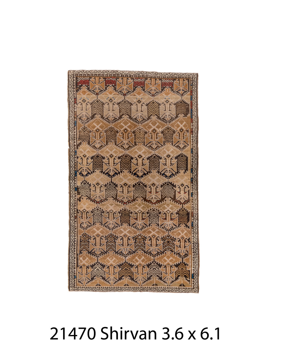 C21470 Rug