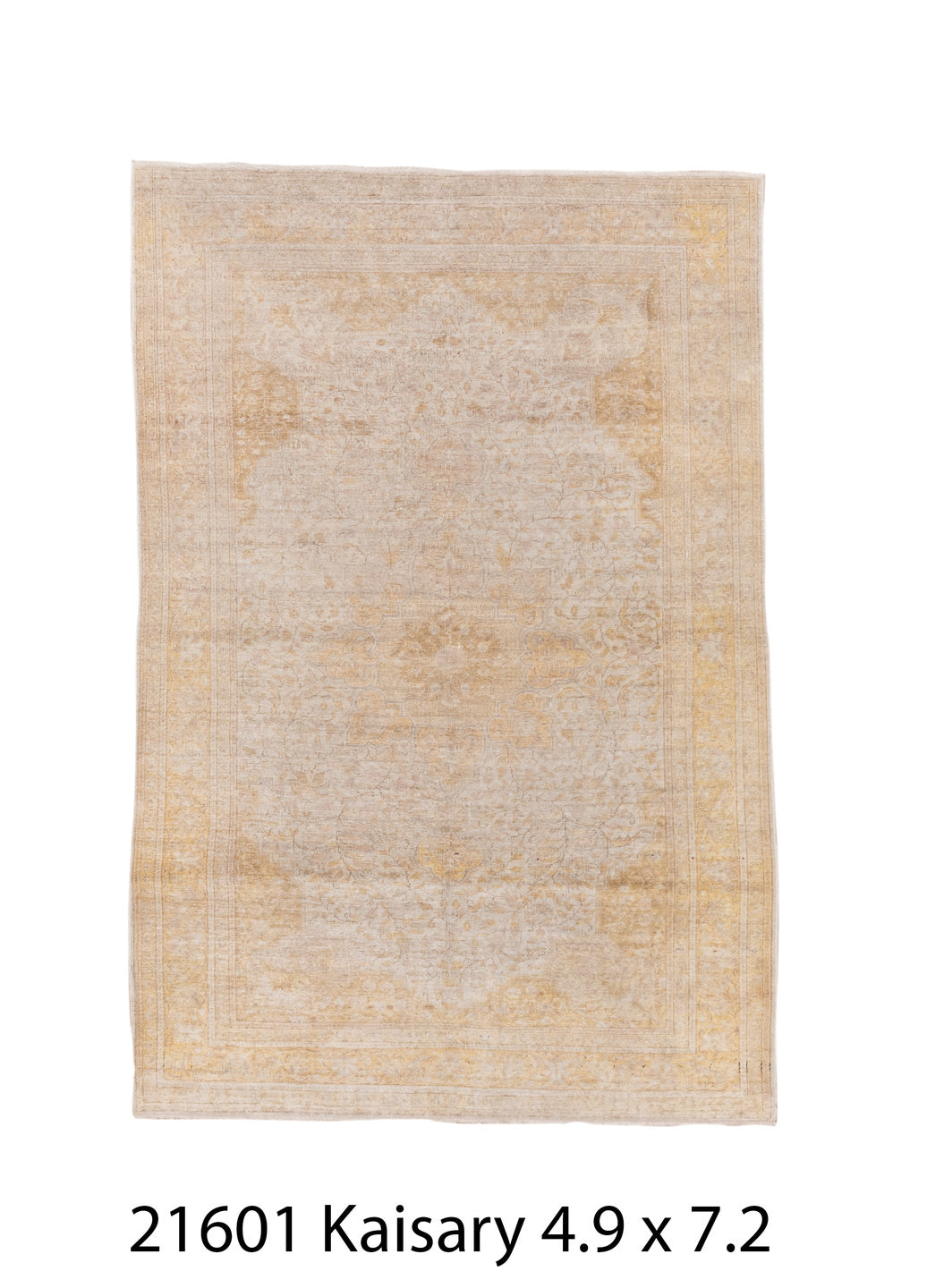 C21601 Rug