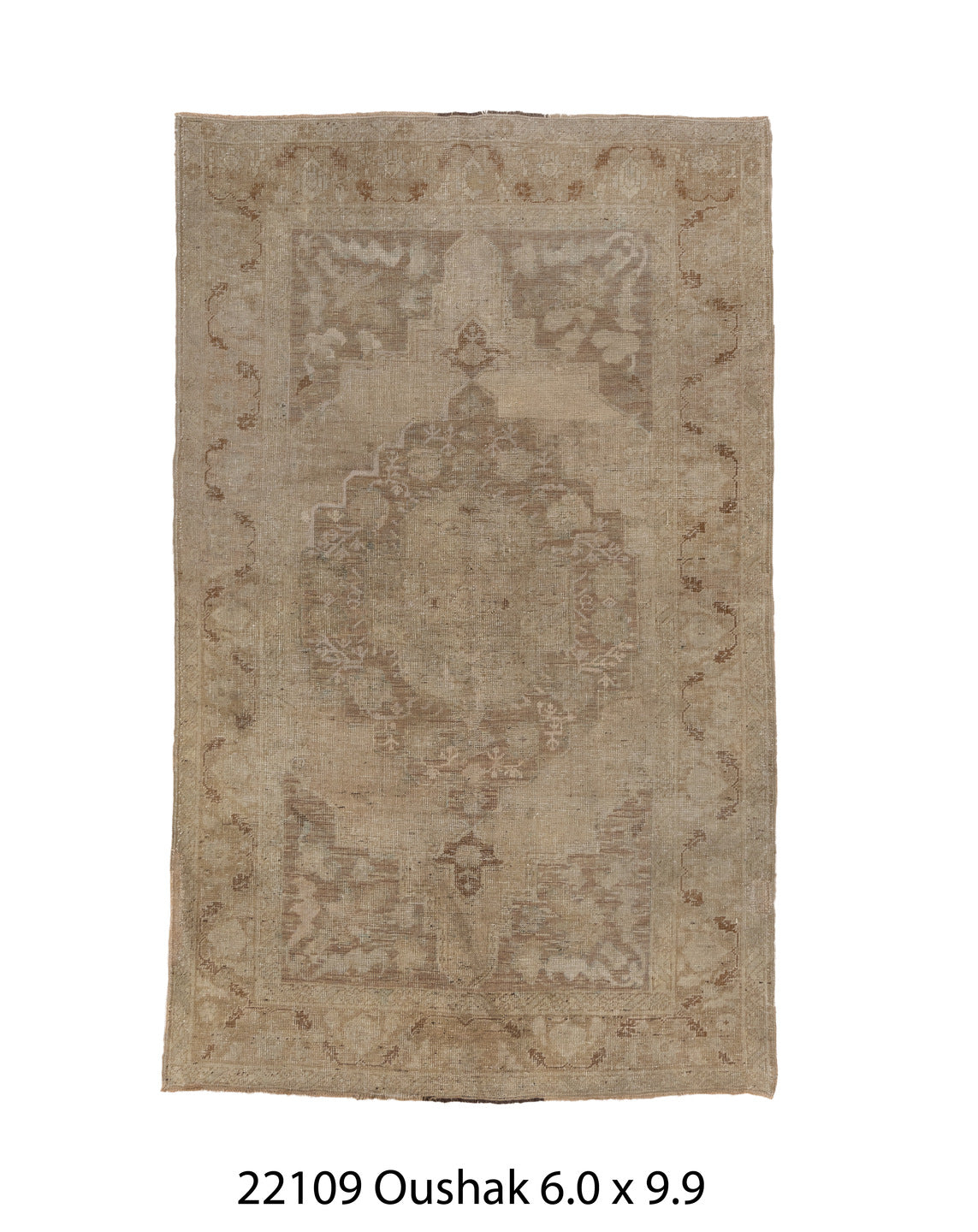 C22109 Rug