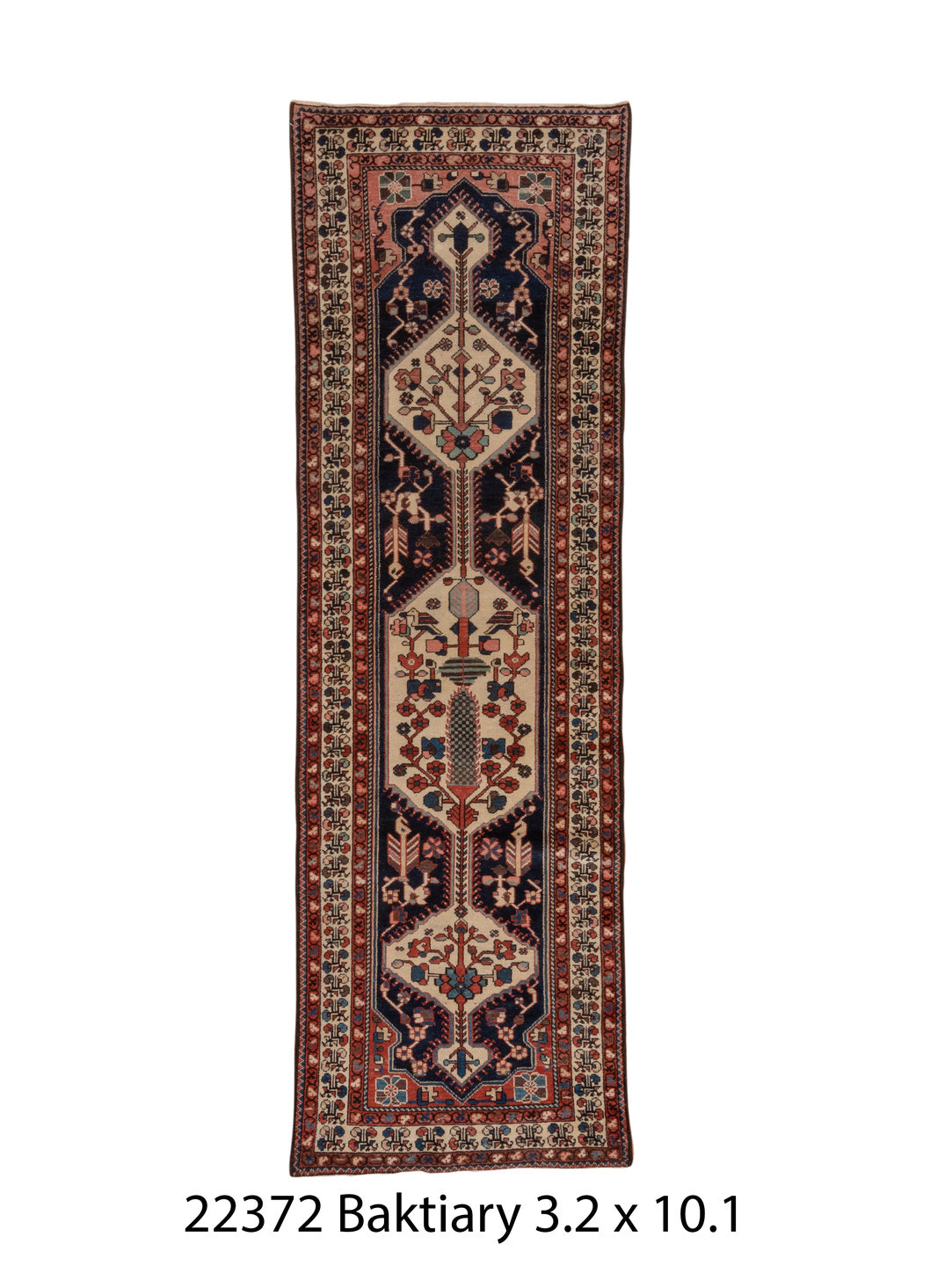 C22372 Rug