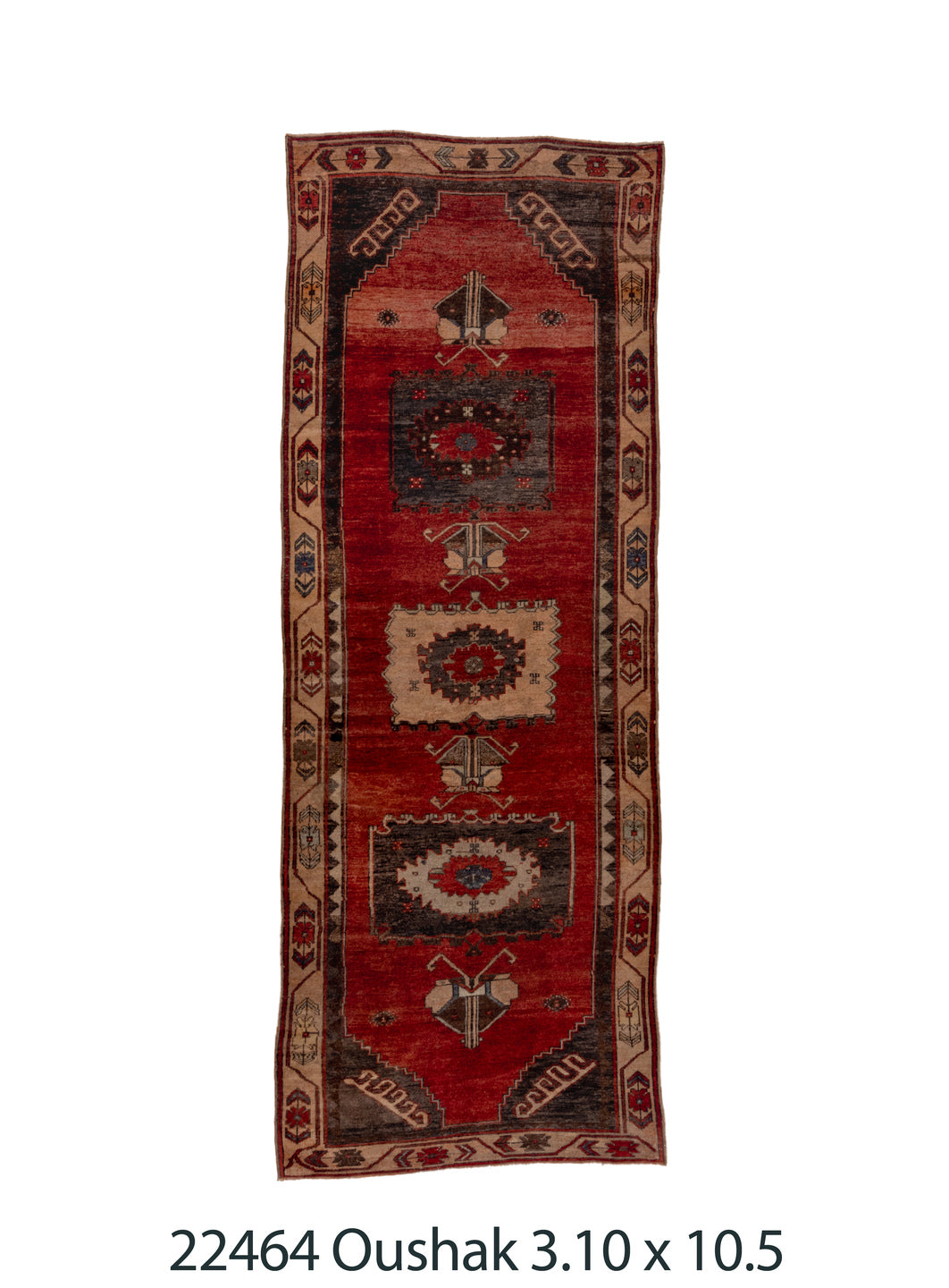 C22464 Rug