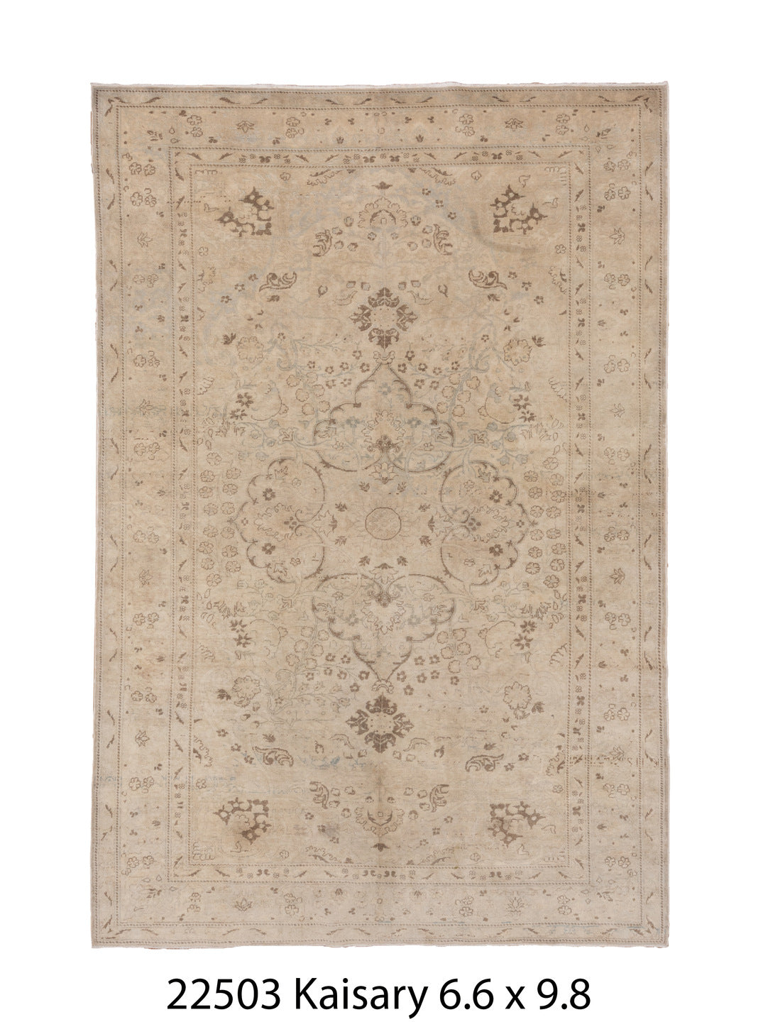 C22503 Rug