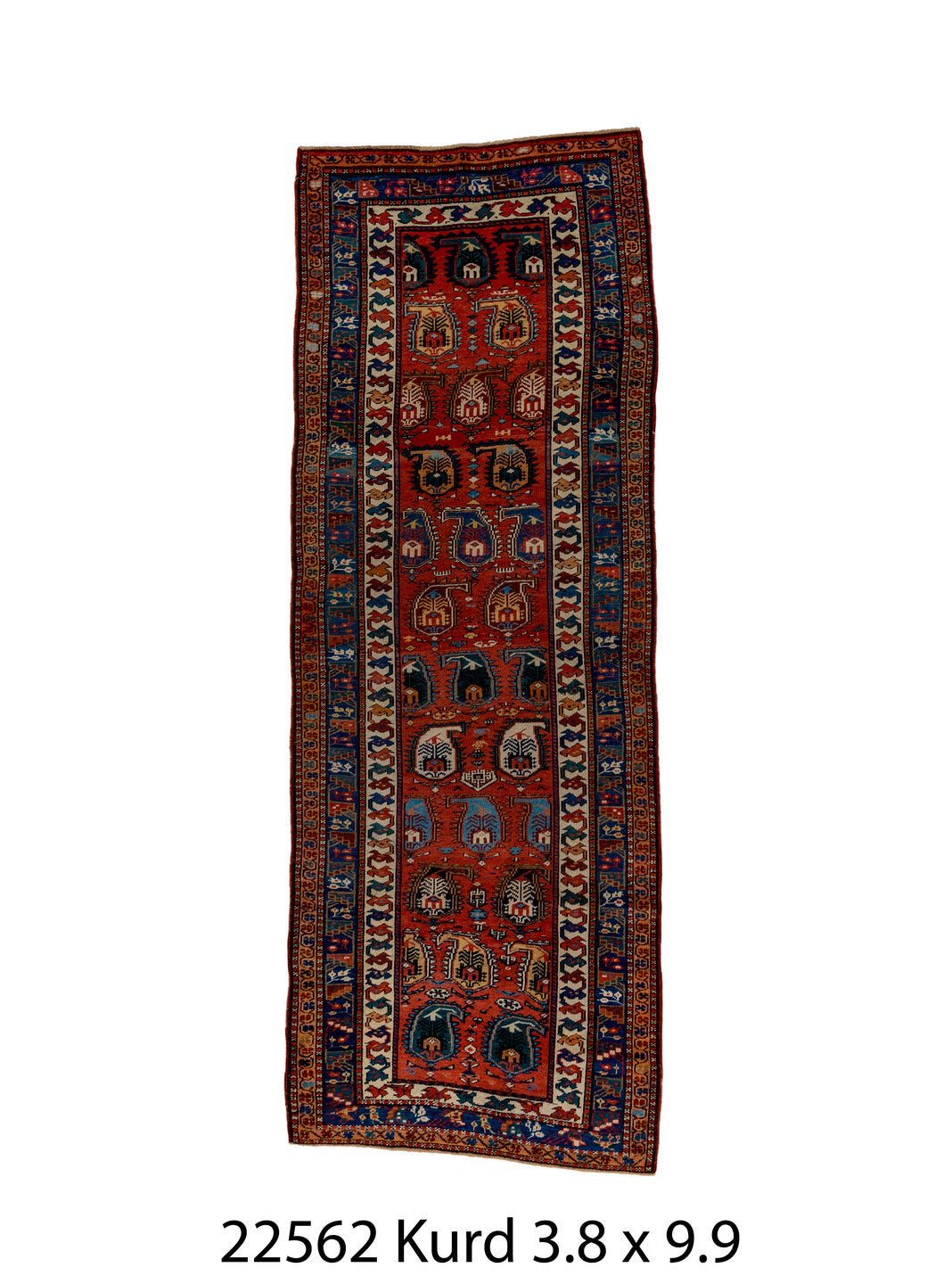 C22562 Rug