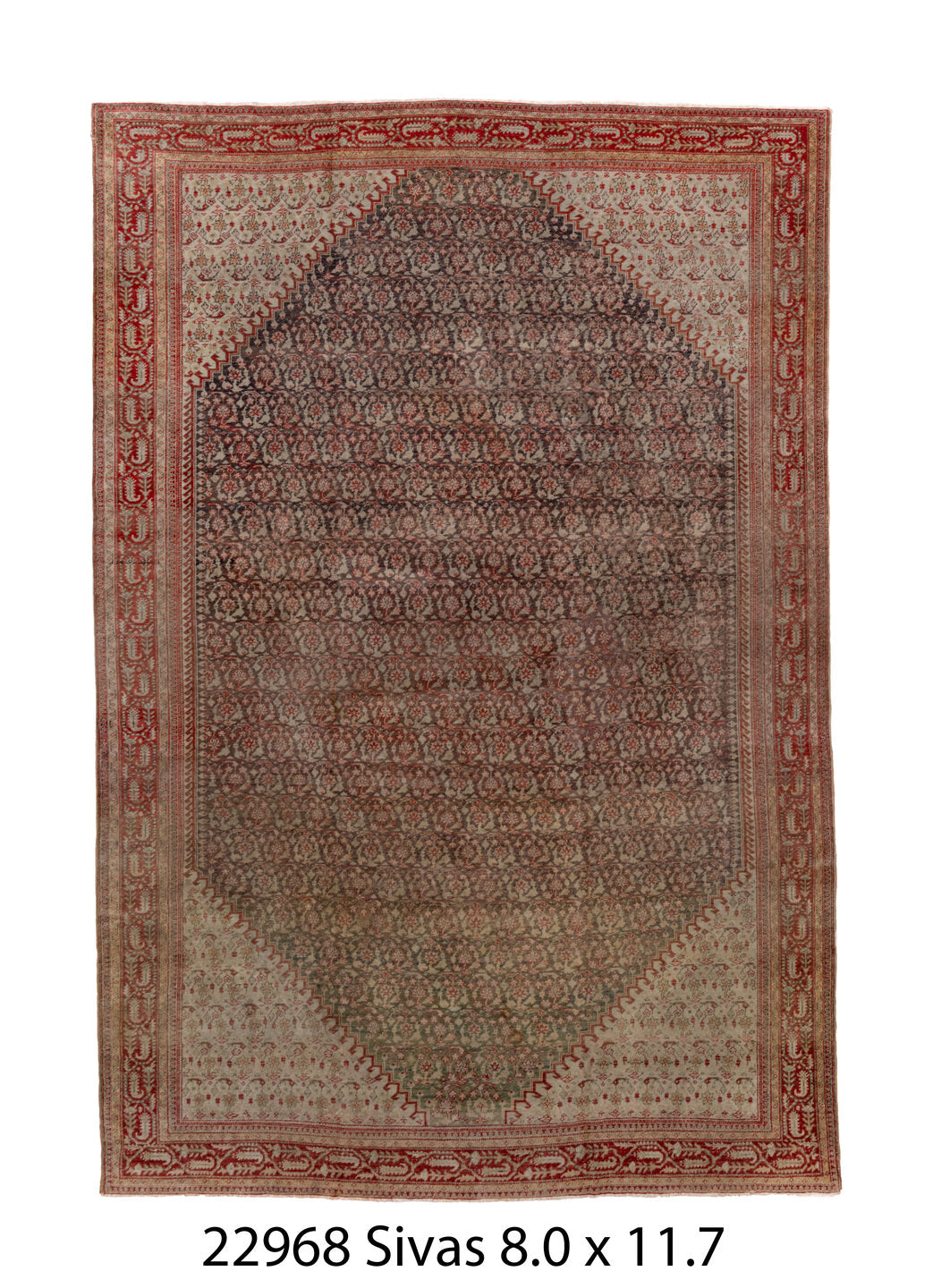 C22968 Rug