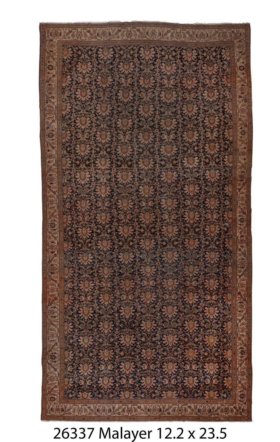 026337 Rug