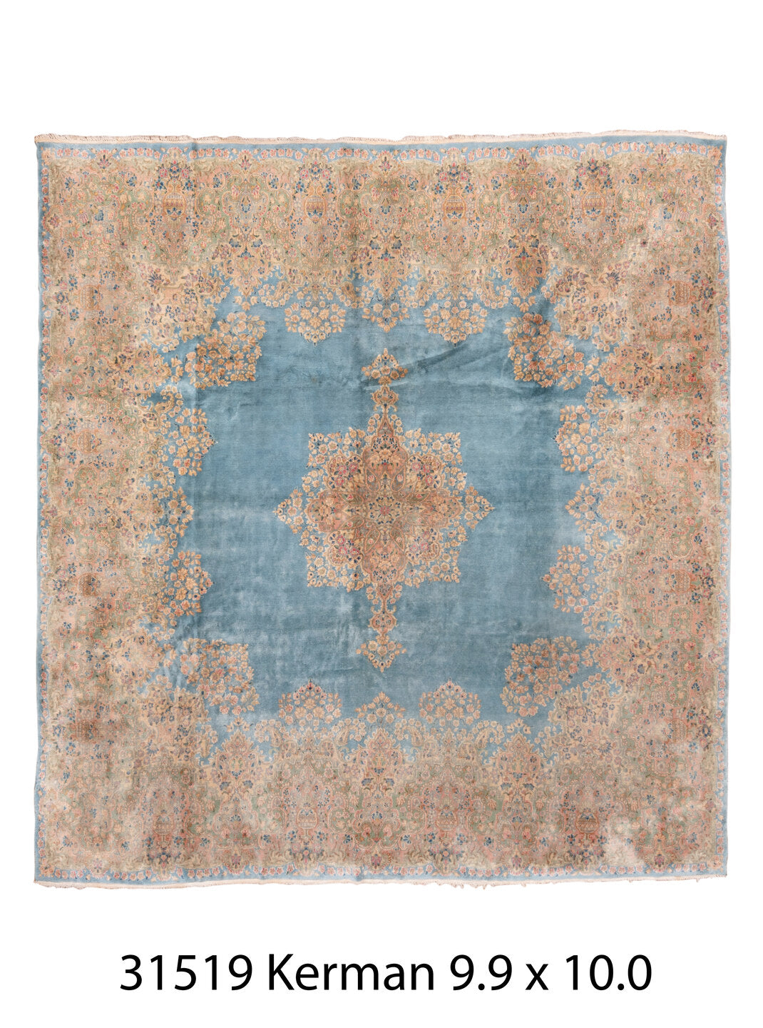 C31519 Rug