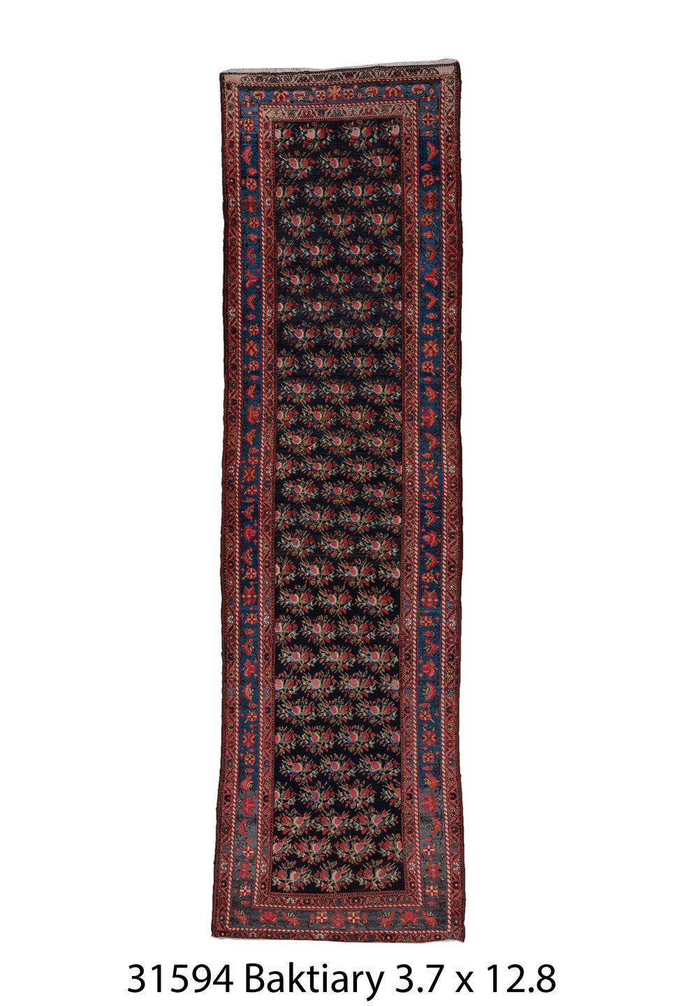 031594 Rug