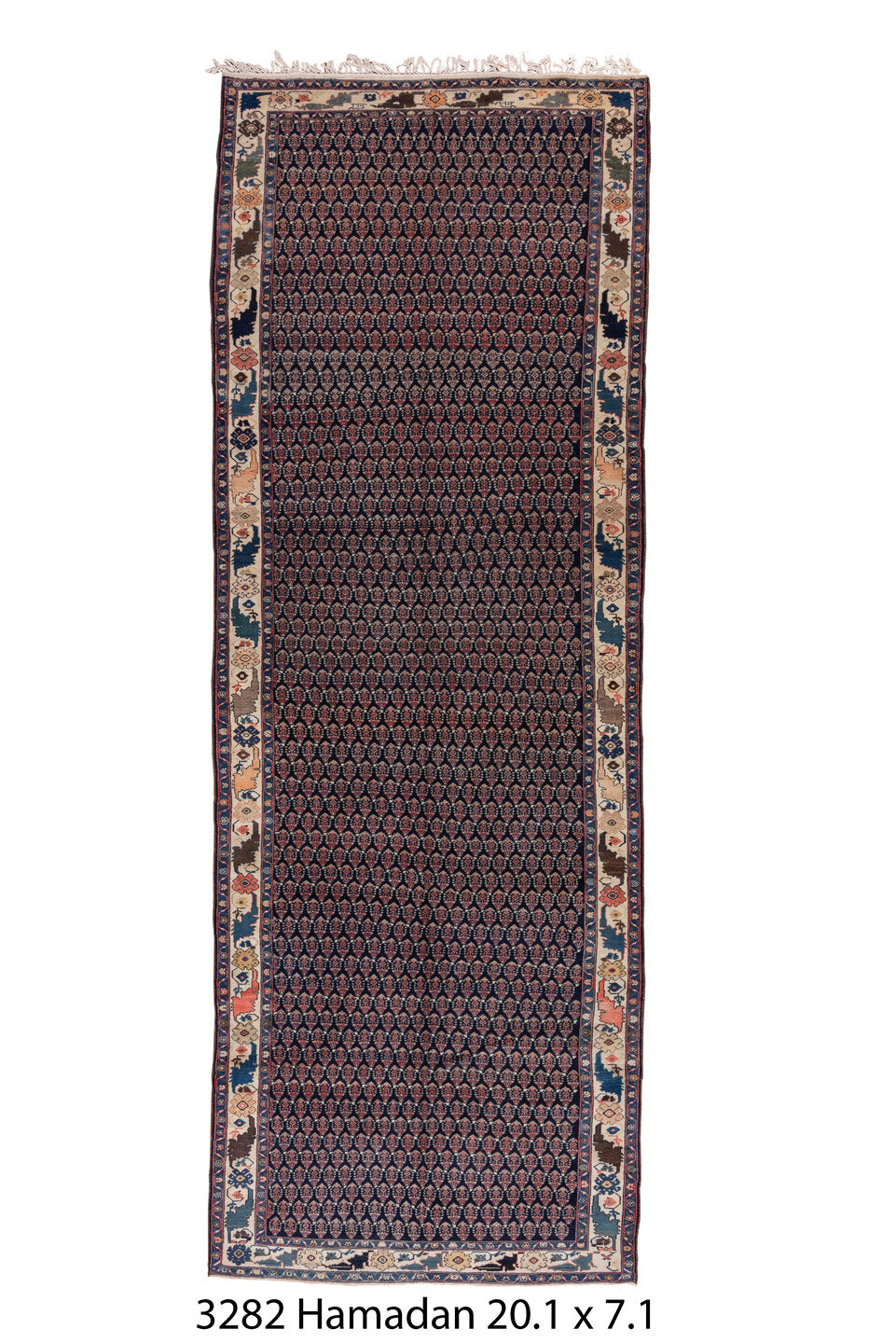 C03282 Rug