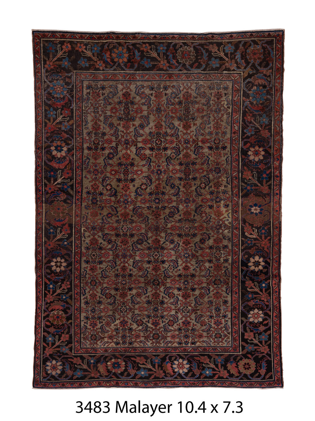 C03483 Rug