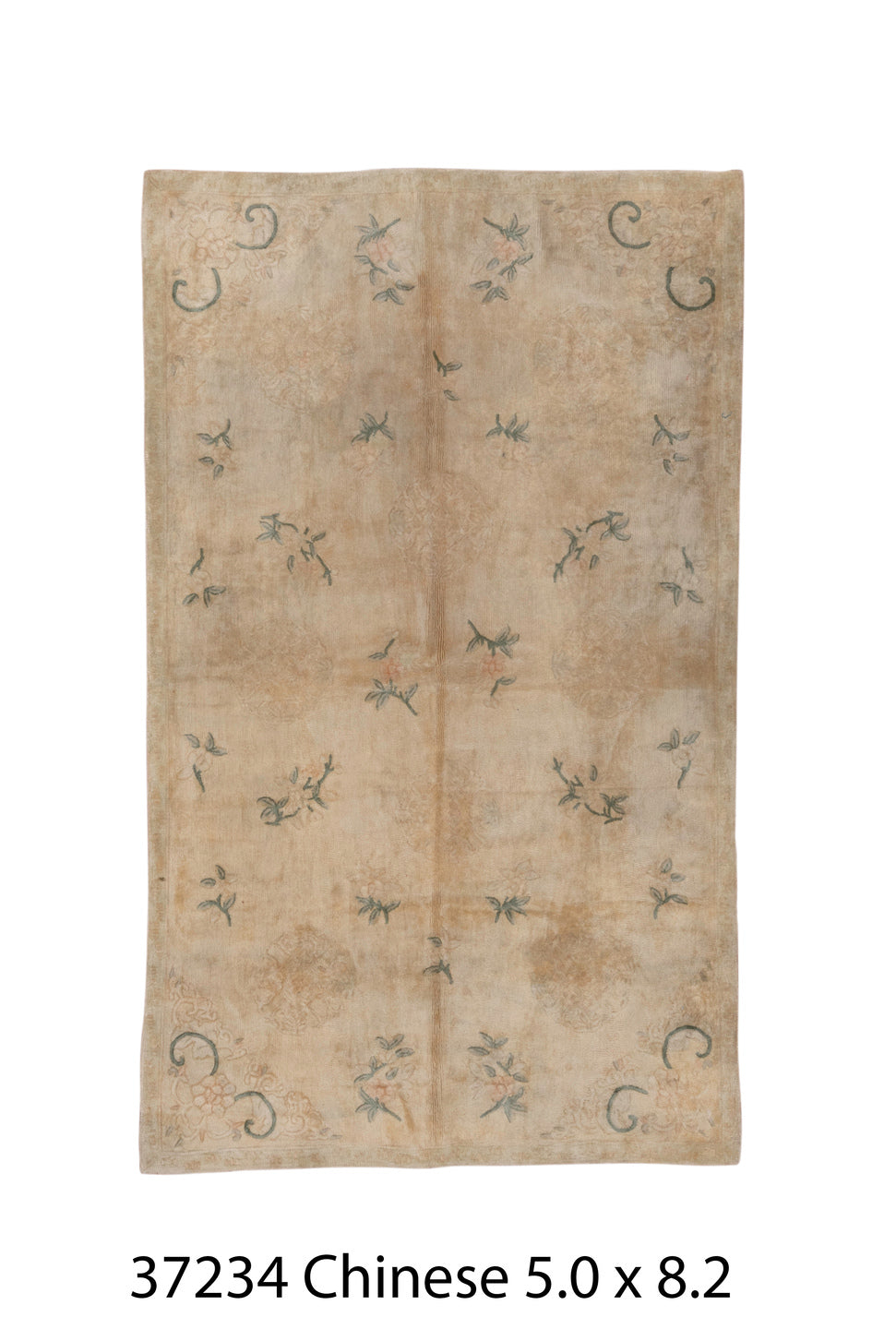 037234 Rug