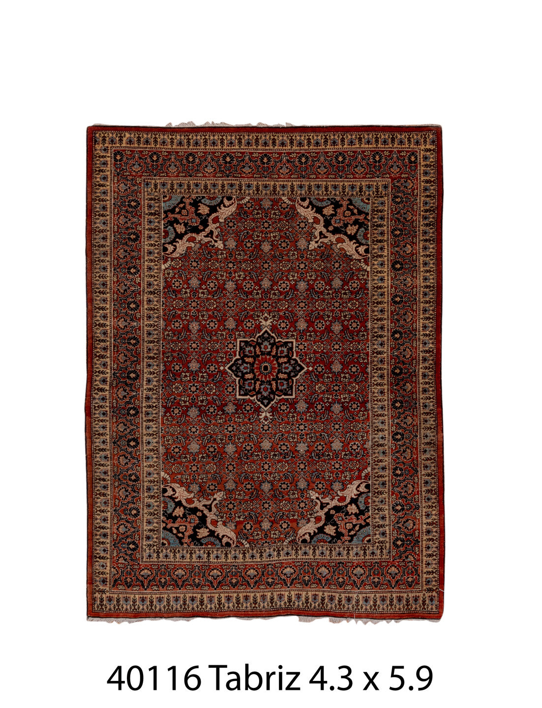 040116 Rug