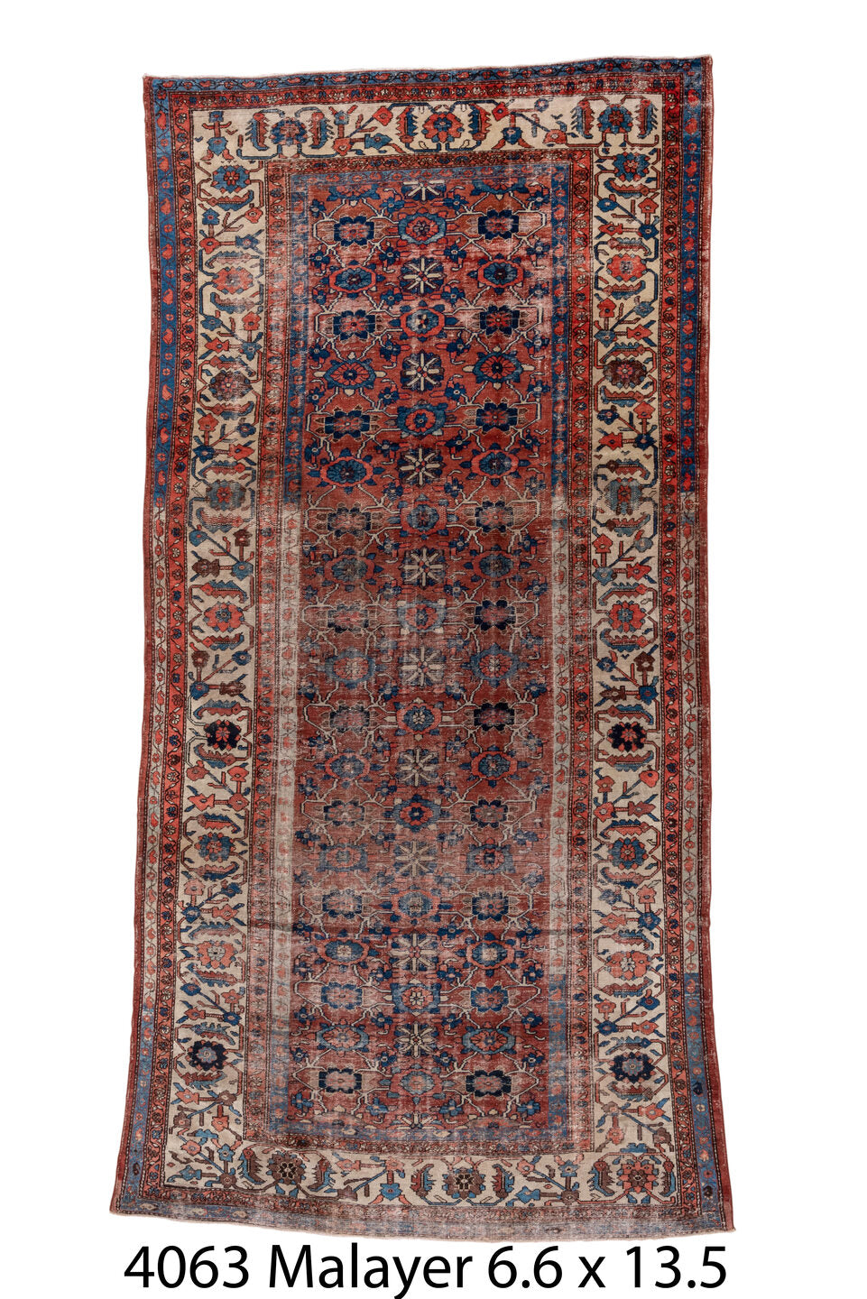 C04063 Rug