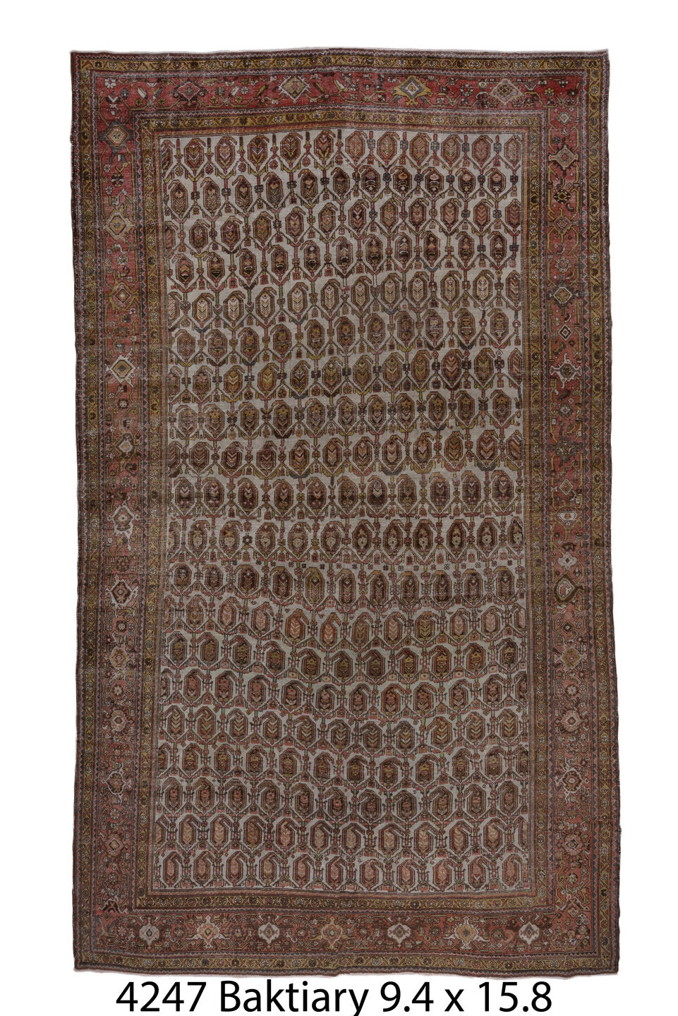C04247 Rug