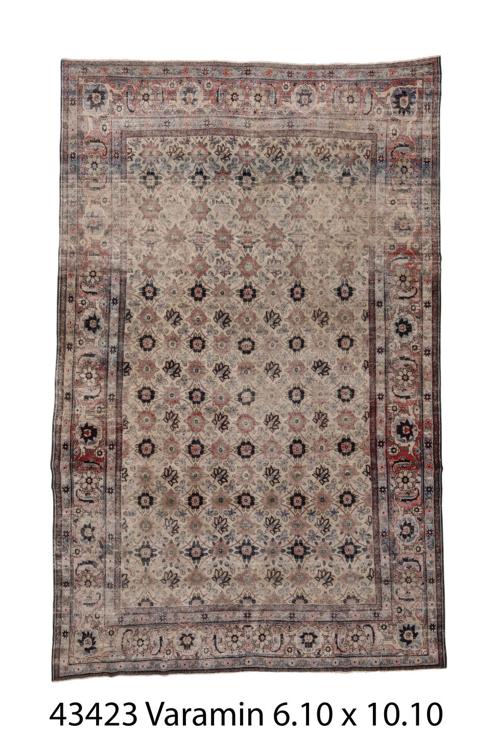 043423 Rug