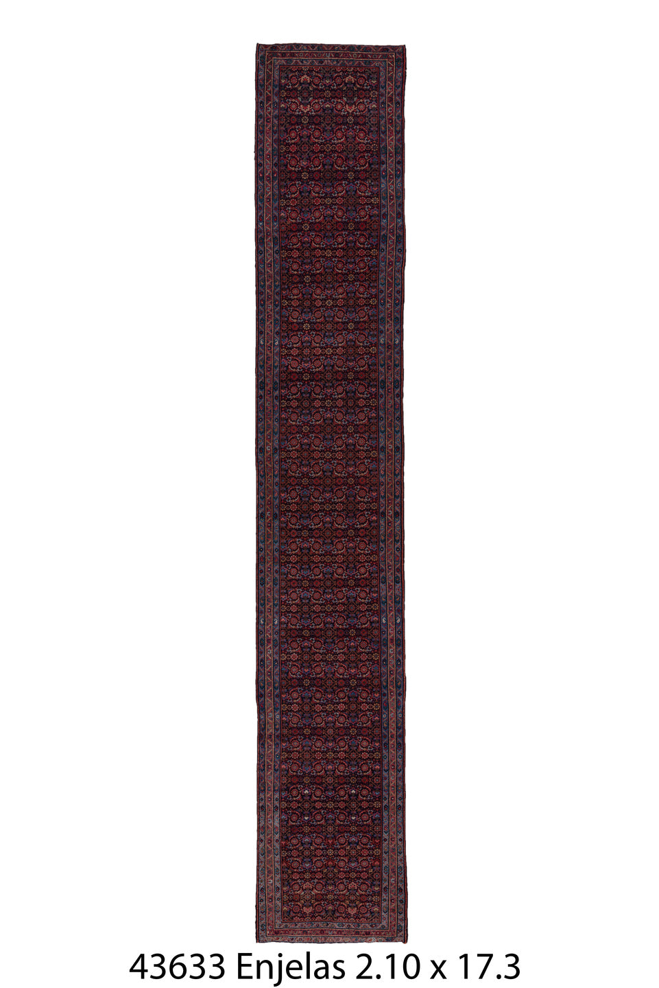 043633 Rug